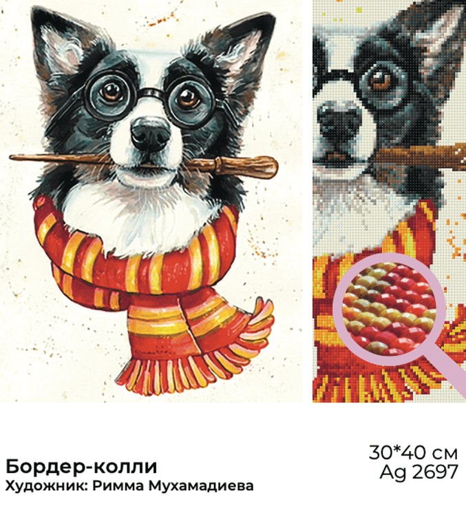 Алмазная вышивка «Бордер-колли» — картинка 3