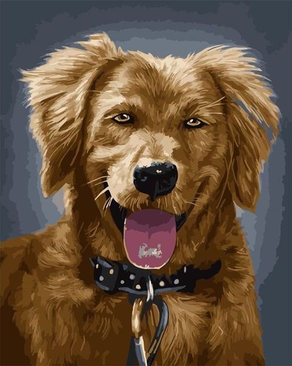 Картина по номерам «Рыжий пёс»