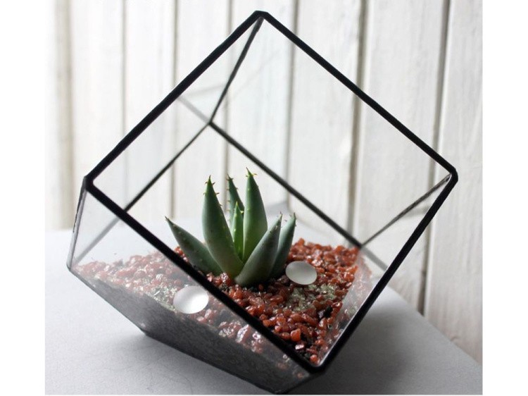 Флорариум куб — картинка 3