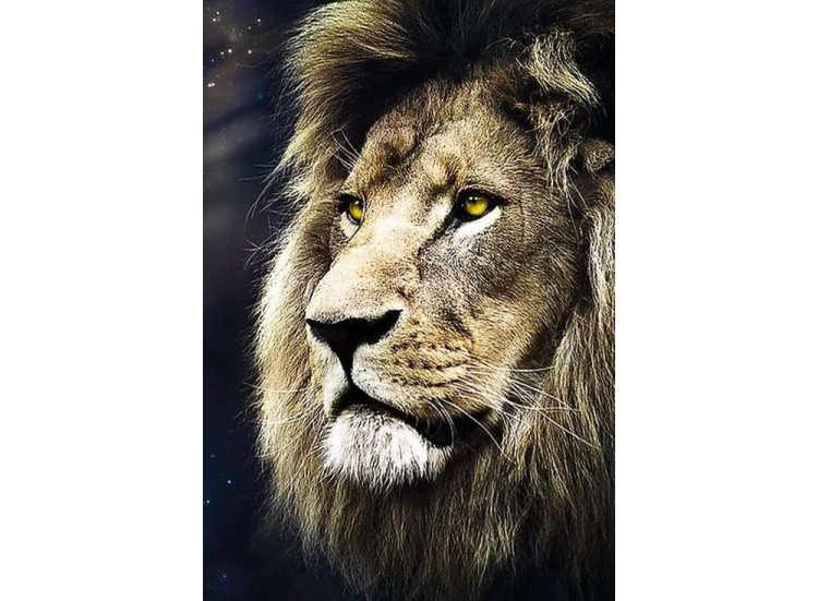 Пазлы «Портрет льва»