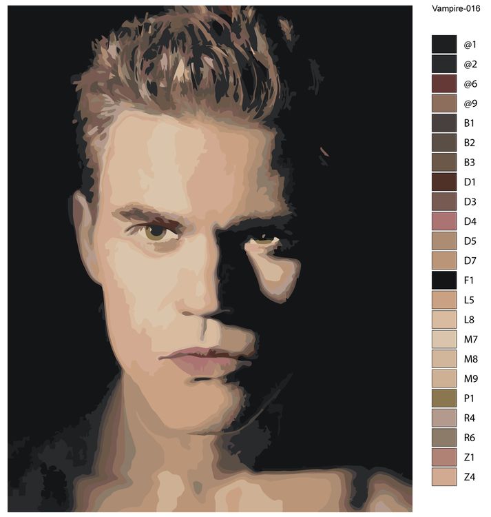 Картина по номерам «Дневники вампира: Стефан Сальваторе - Пол Уэсли» — картинка 2