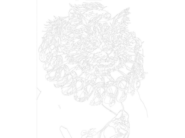 Картина по номерам «Кот-дворянин» — картинка 3