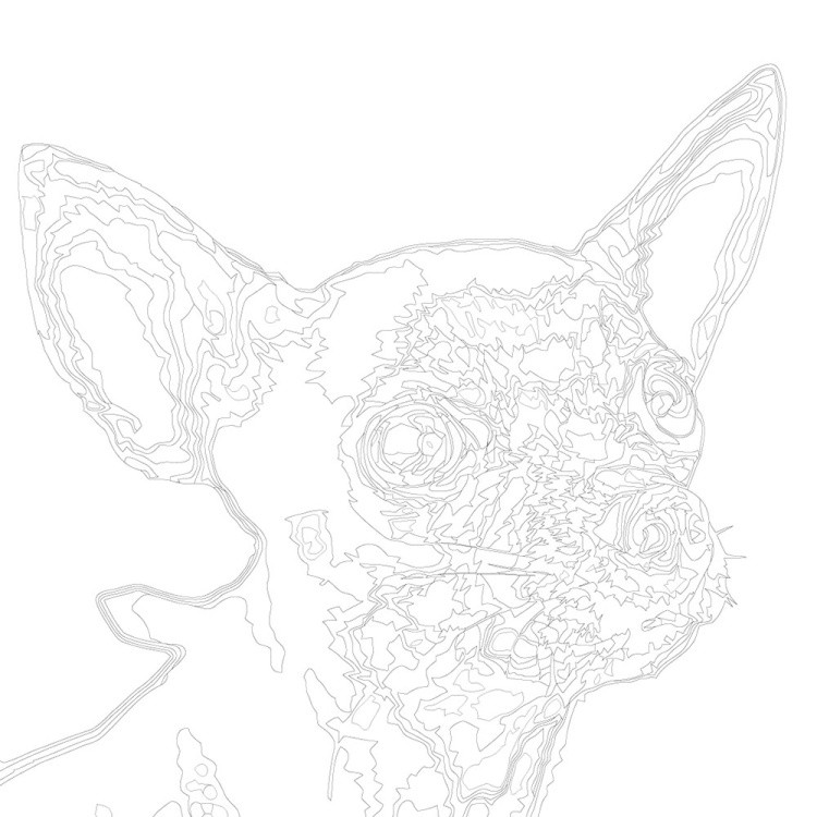 Картина по номерам «Собаки: Той терьер 40x40» — картинка 3