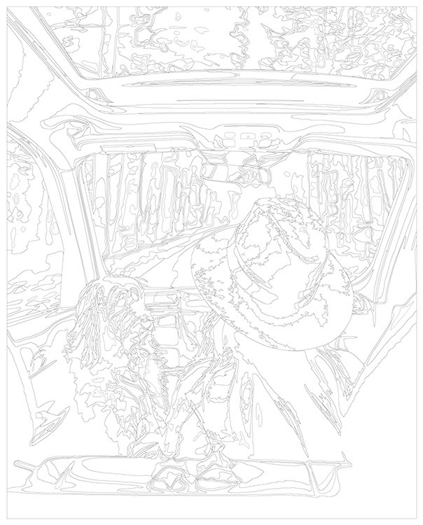 Картина по номерам «Девушка и собака едут в машине по осеннему лесу» — картинка 3