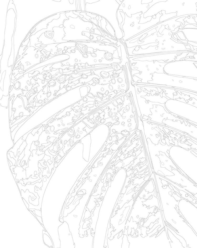 Картина по номерам «Цветы и растения: монстера с каплями» — картинка 3