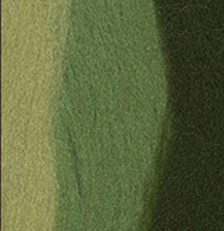 Шерсть для валяния Gamma MY-050, полутонкая (з.яблоко/морские водоросли/липа), 50 г
