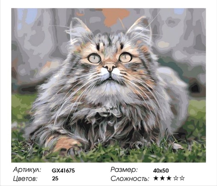 Картина по номерам «Пушистый кот» — картинка 2