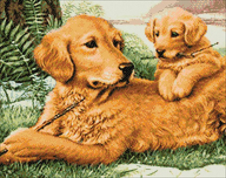 Алмазная вышивка «Любопытный ученик» — картинка 2