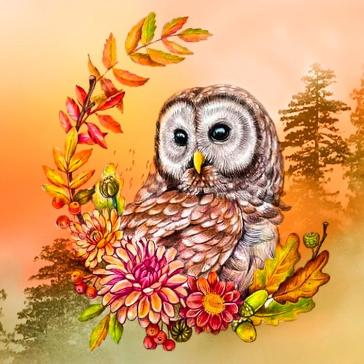 Алмазная вышивка «Совушка в цветах» — картинка 2