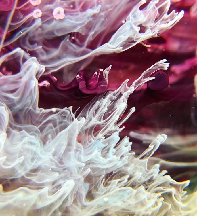 Краска для Петри Petri 1 Белый 5 мл, Kamenskaya Ink — картинка 2