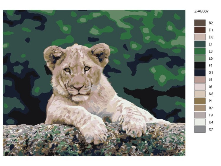 Картина по номерам «Львёнок» — картинка 2