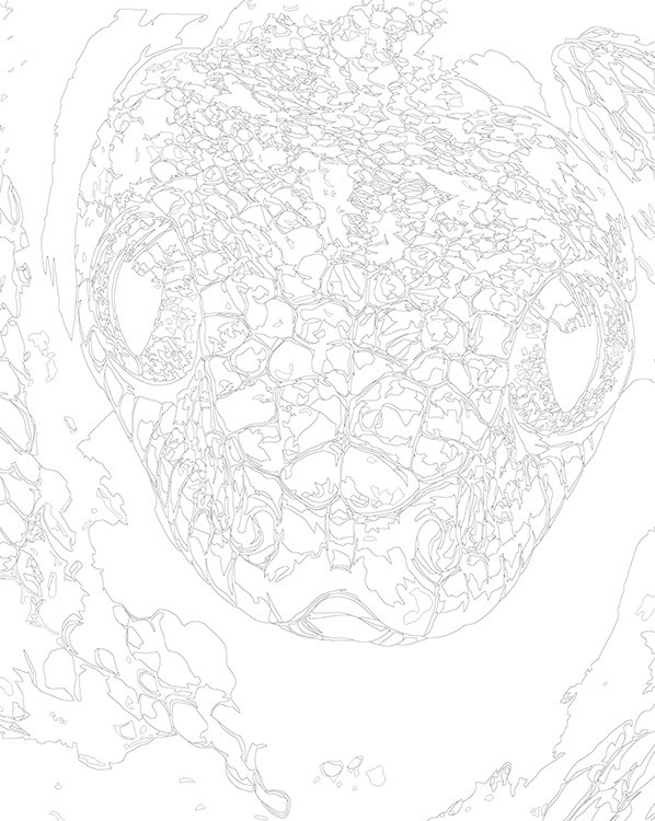 Картина по номерам «Зеленая змея, Символ года, животные» — картинка 3