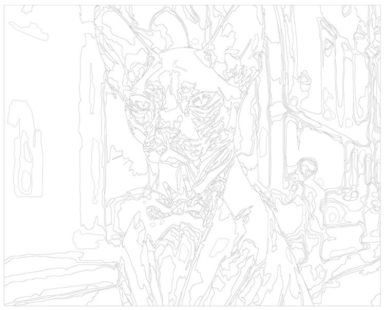 Картина по номерам «Кот сфинкс в костюме с бабочкой» — картинка 3