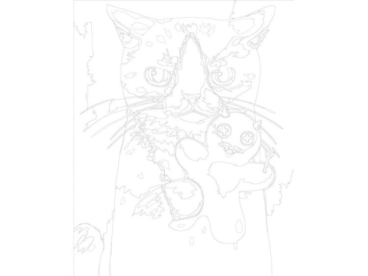 Картина по номерам «Кот с игрушкой» — картинка 3