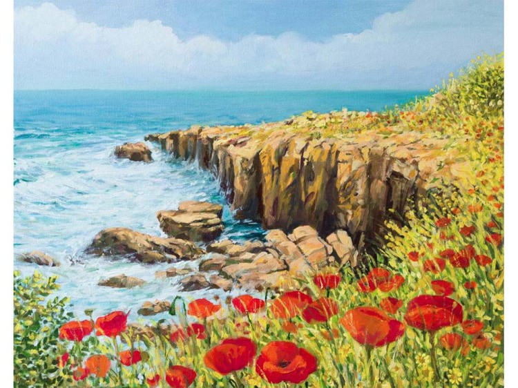 Картина по номерам «Побережье Нормандии» — картинка 2