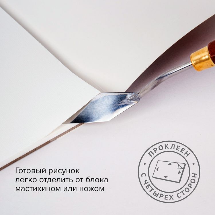 Папка для акварели/планшет, 300 г/м2, 270х390 мм, склейка, среднее зерно, 20 л., BRAUBERG ART PREMIERE — картинка 3