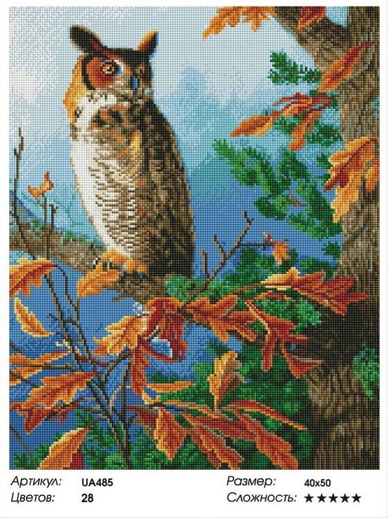 Алмазная вышивка «Мудрая сова» — картинка 2