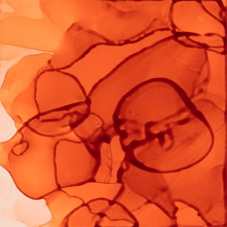 Спиртовые чернила (03 оранжевый), 20 мл, Love2art — картинка 2