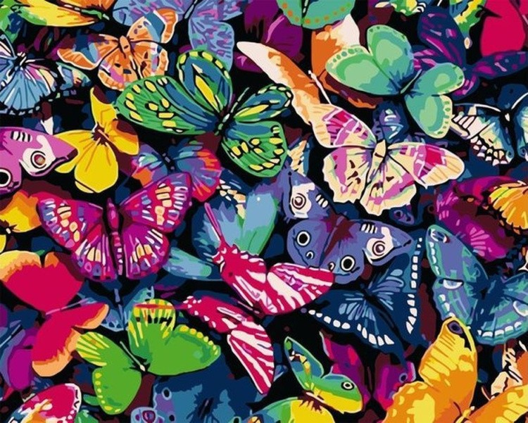 Картина по номерам «Радужные бабочки»