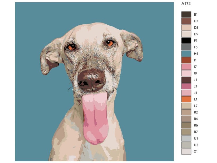 Картина по номерам «Кинзи» — картинка 2