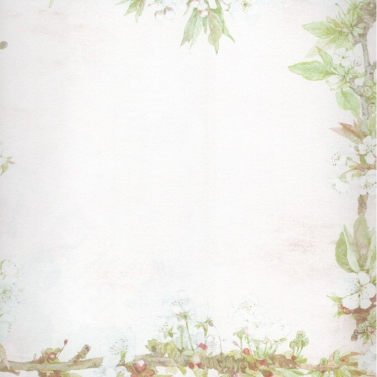 Набор бумаги «Яблоневый цвет» — картинка 17