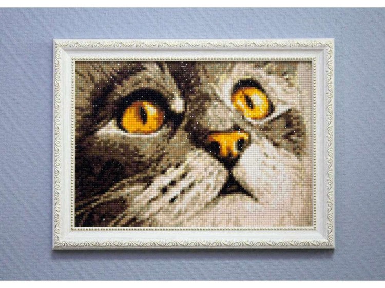 Алмазная вышивка «Изумление» — картинка 4