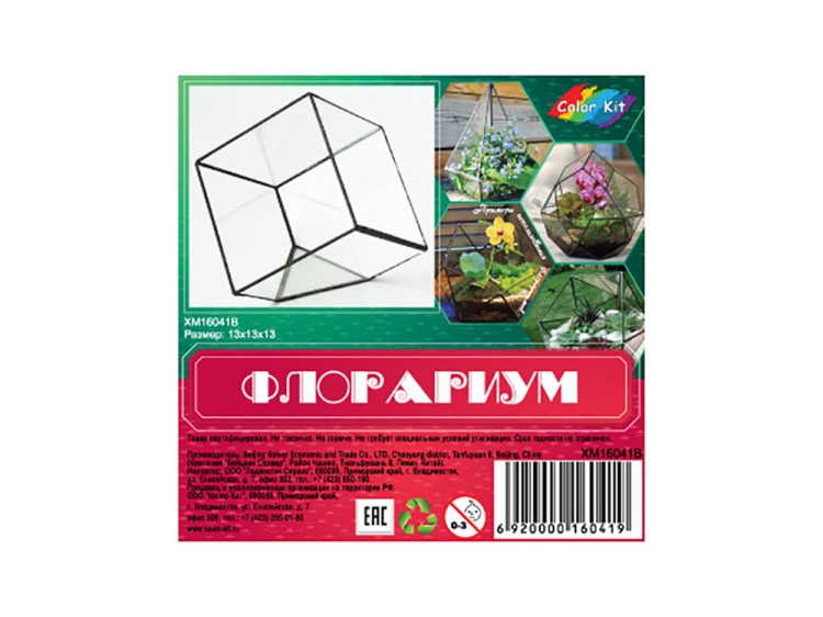 Флорариум куб — картинка 5