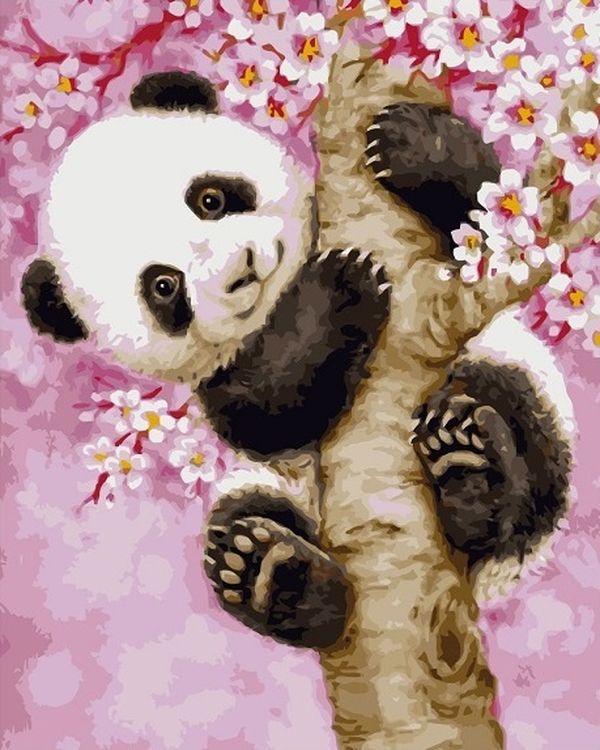 Картина по номерам «Панда на ветке Сакуры»