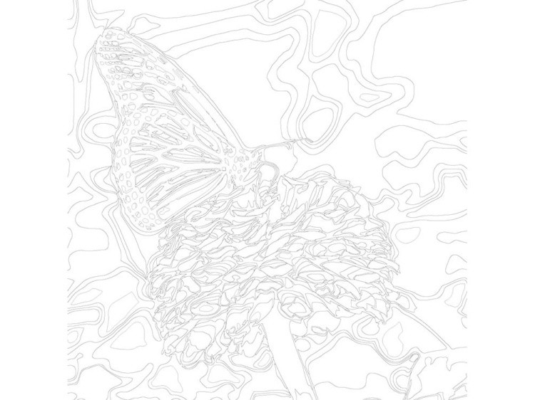 Картина по номерам «Бабочка на цветке» — картинка 3