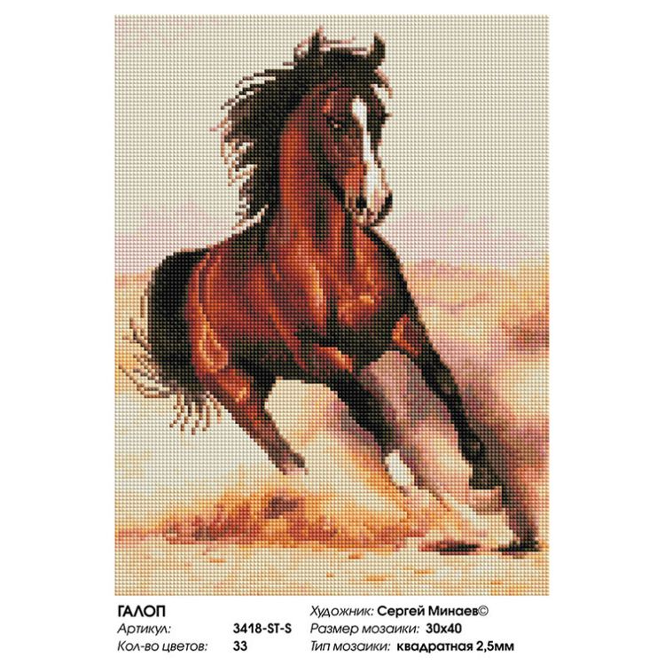 Алмазная вышивка «Галоп» — картинка 2