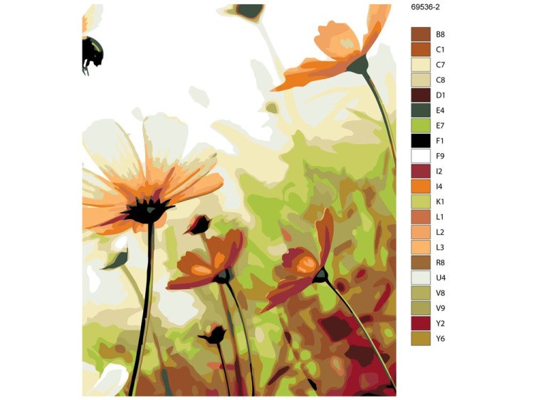 Картина по номерам «Полевые цветы 3» — картинка 2