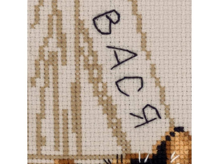 Набор для вышивания «Здесь был Вася» — картинка 5