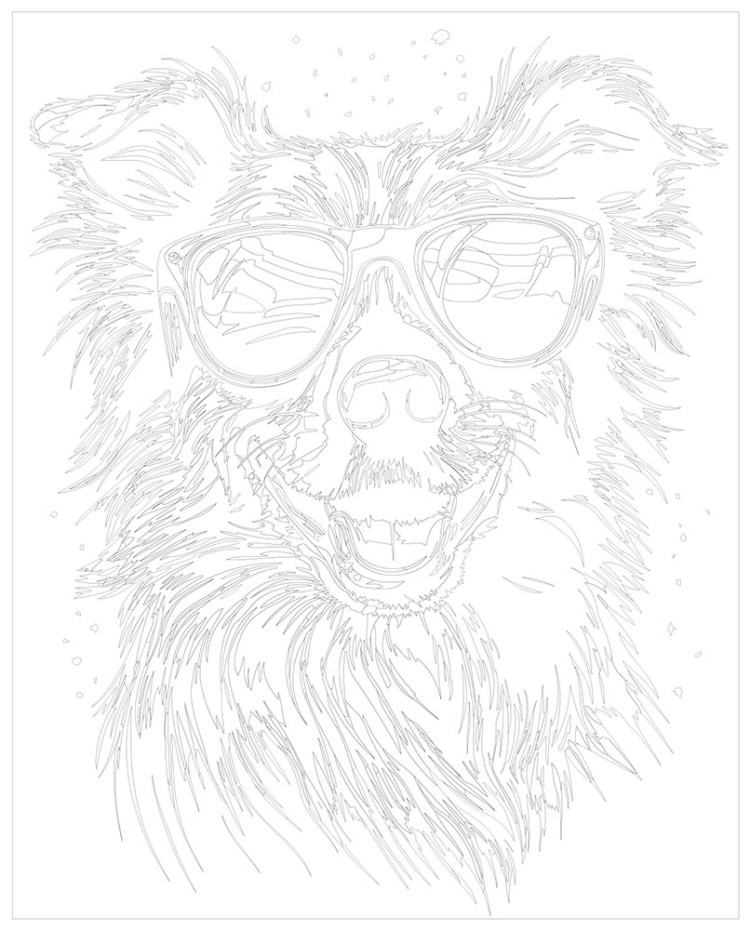 Картина по номерам Яркая собака Бордер колли в очках — картинка 3