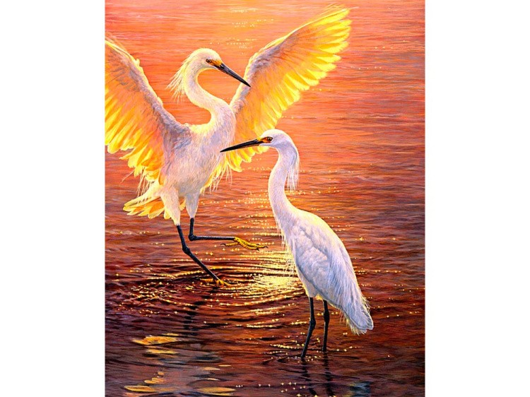 Картина по номерам «Журавли на закате» — картинка 2