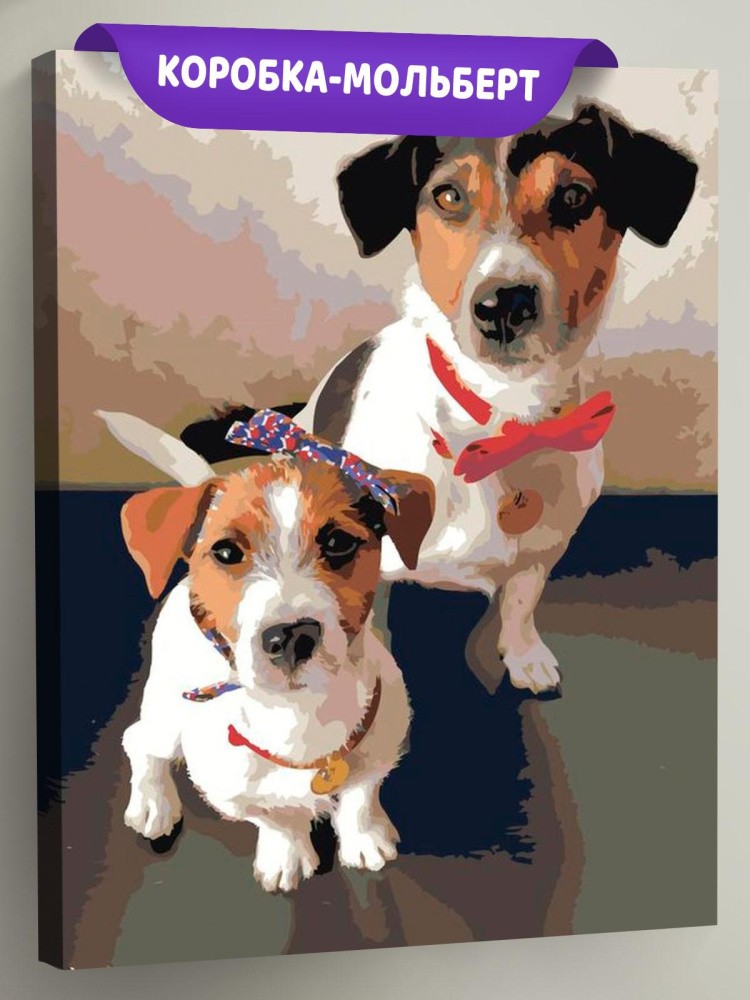 Картина по номерам «Джек-рассел-терьер»
