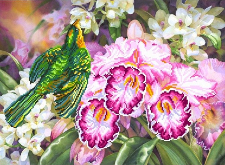 Рисунок на шелке «Нежная орхидея»