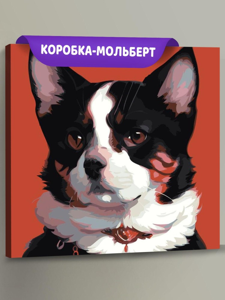 Картина по номерам «Кот, похожий на собаку»