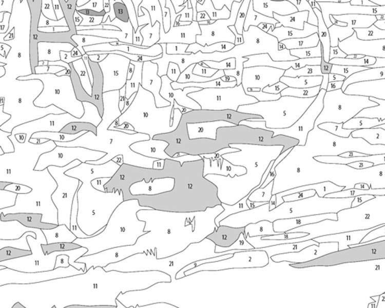 Картина по номерам «Велопрогулка под дождем» — картинка 3