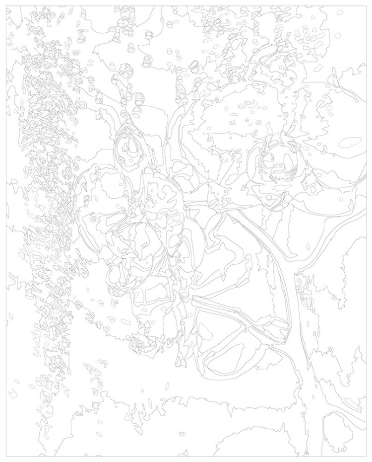 Картина по номерам Цветы розовая орхидея и капли — картинка 3