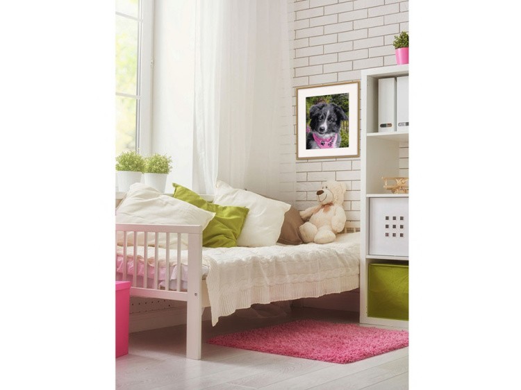 Картина по номерам «Щенок колли» — картинка 4