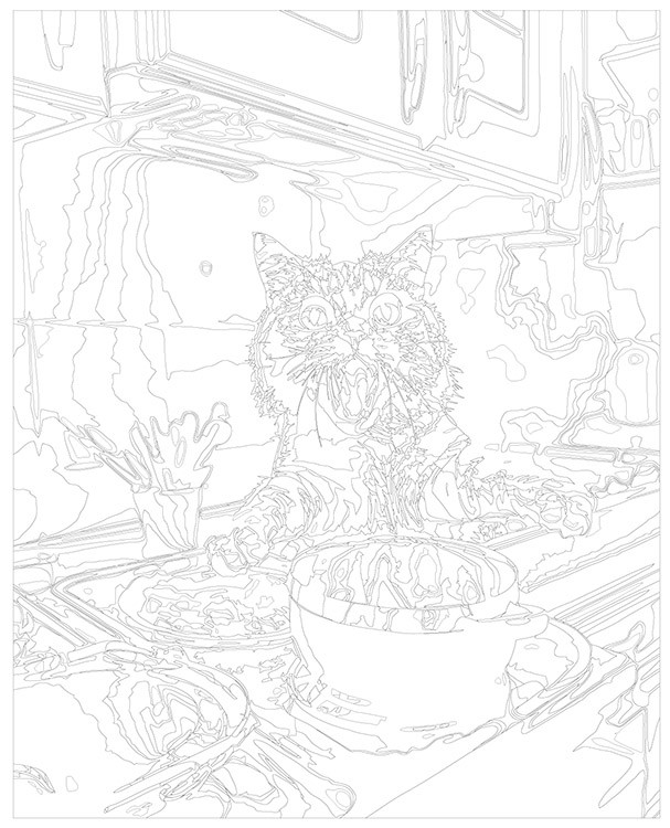 Картина по номерам «Шокированный кот на кухне» — картинка 3