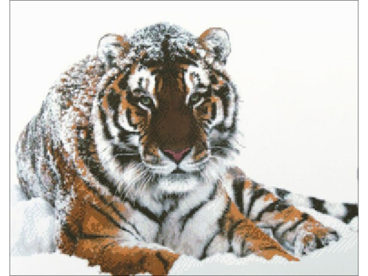 Алмазная вышивка «Тигр на снегу» — картинка 2