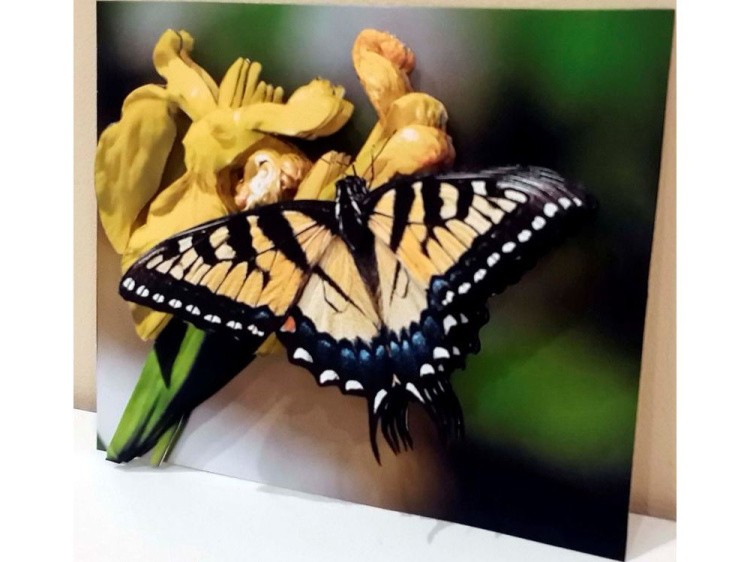 Папертоль «Парусник главк» — картинка 2