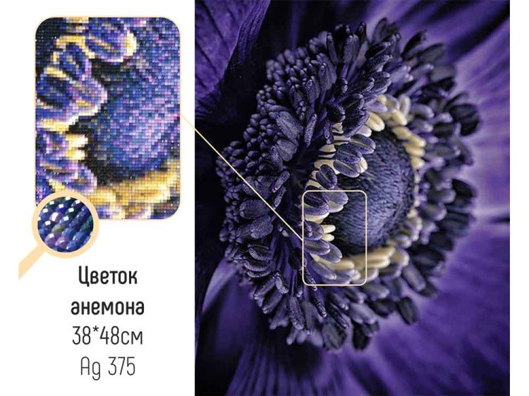 Алмазная вышивка «Цветок анемона» — картинка 2