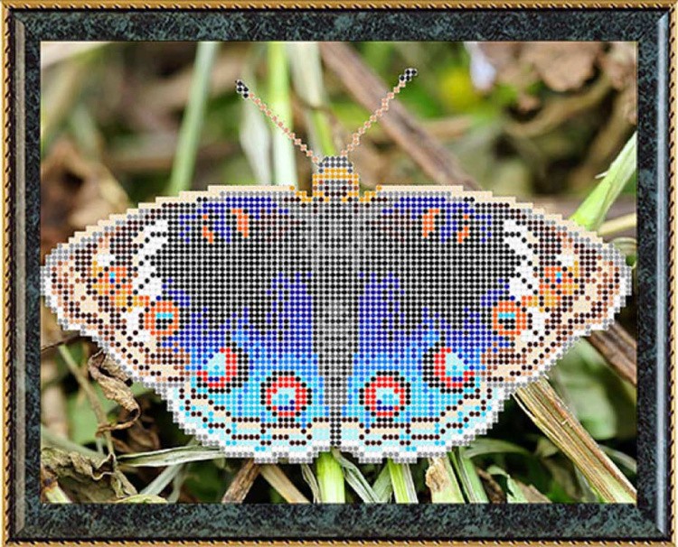 Рисунок на ткани для вышивания бисером «Юнония орития» — картинка 2