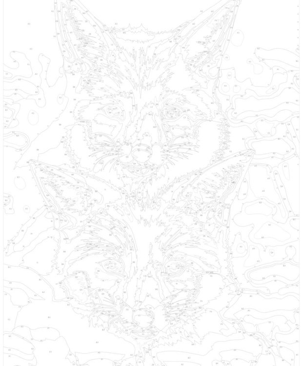 Картина по номерам «Лисы в цветах» — картинка 3