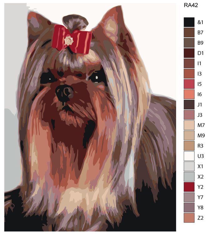 Картина по номерам «Болонка» — картинка 2