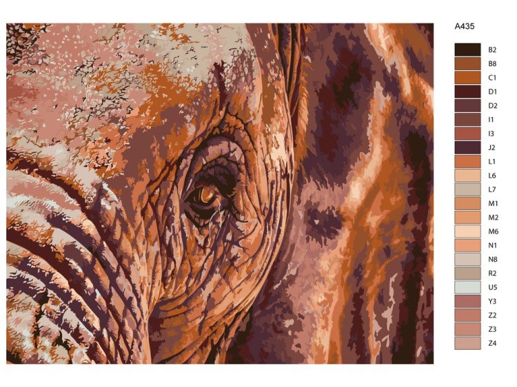 Картина по номерам «Глаз слона» — картинка 2