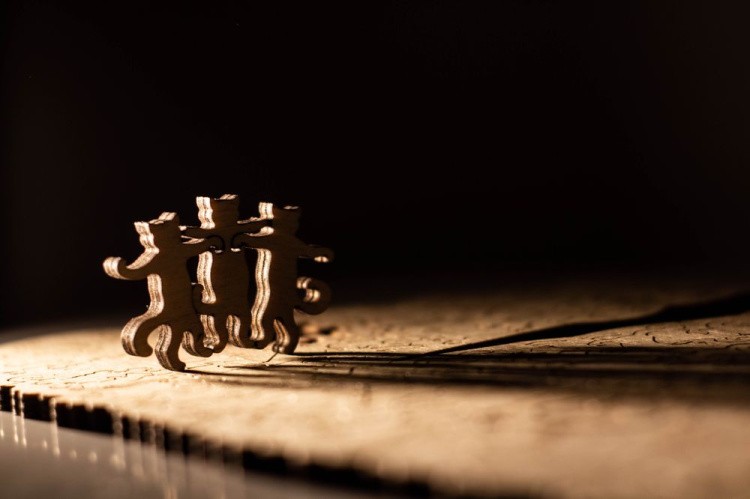 Деревянные пазлы DAVICI «День дружбы» — картинка 5