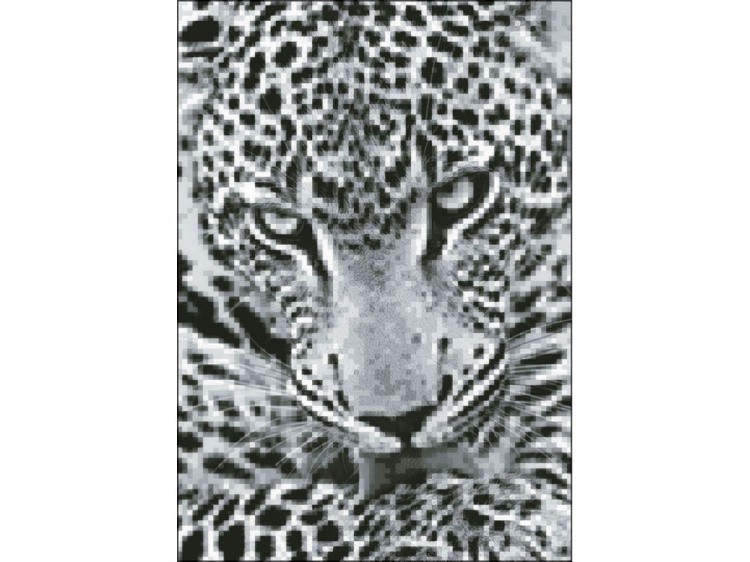 Алмазная вышивка «Хищник» — картинка 2